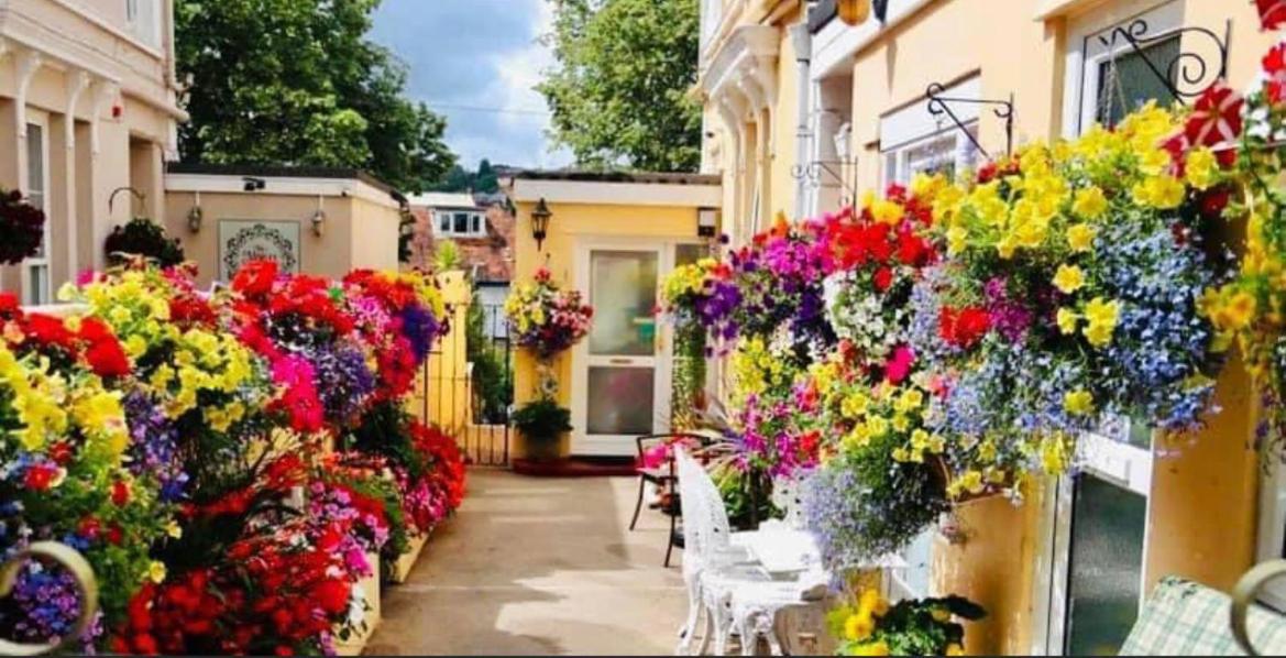 Bed & Breakfast Crowndale - Exclusively For Adults Torquay