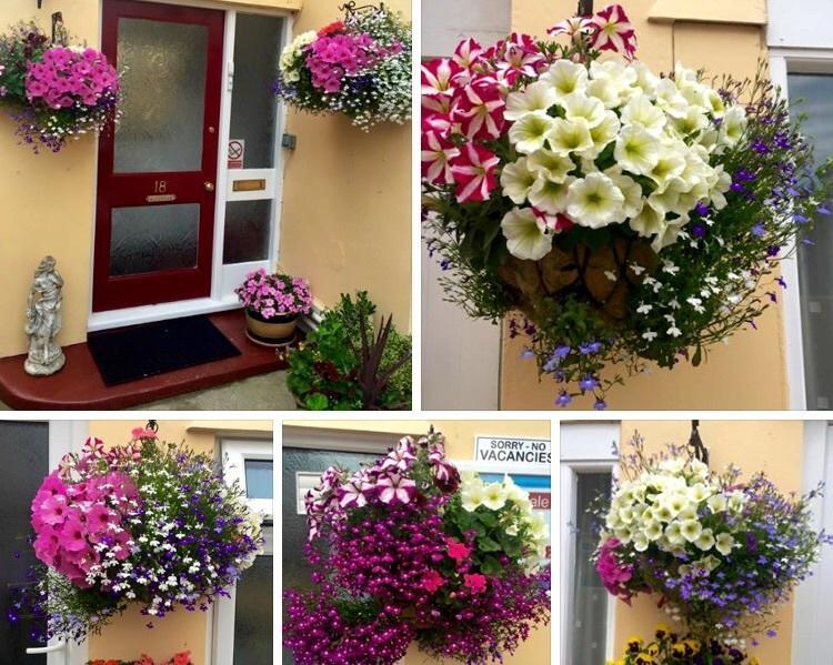 Bed & Breakfast Crowndale - Exclusively For Adults